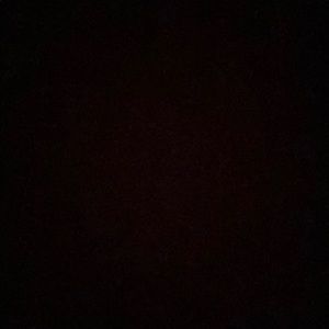 Meet your Posher, Marigold